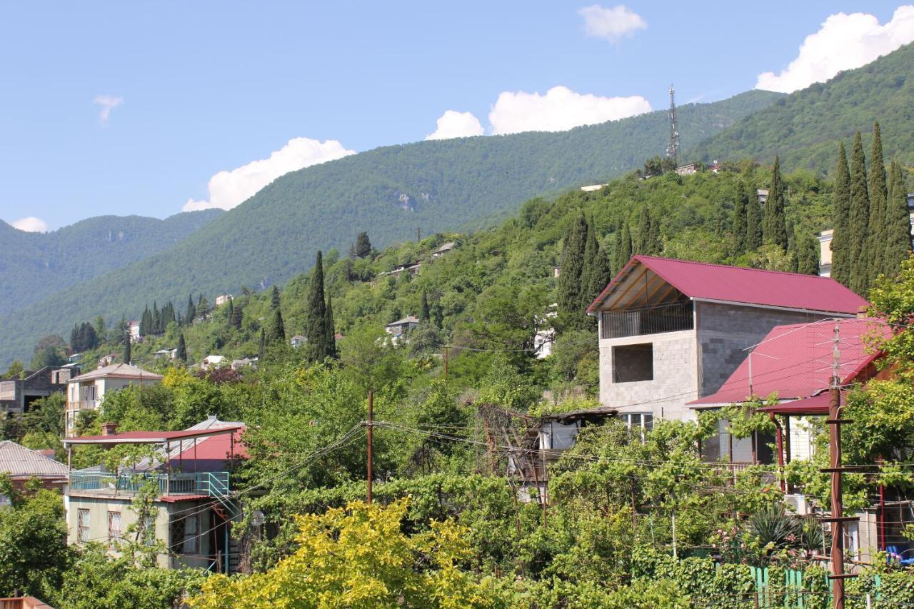 Guest House Zvanba Gagra Exteriér fotografie